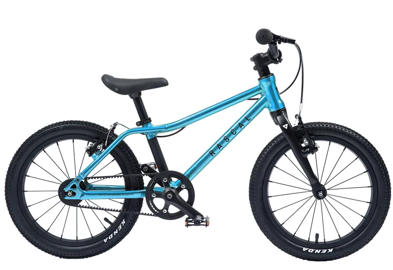 Rascal 14 inch Wheel Kids Bike 2021 in Aquamarine
